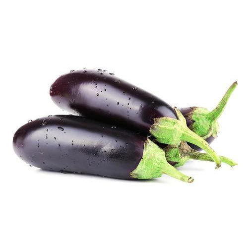 Organic Fresh Brinjal