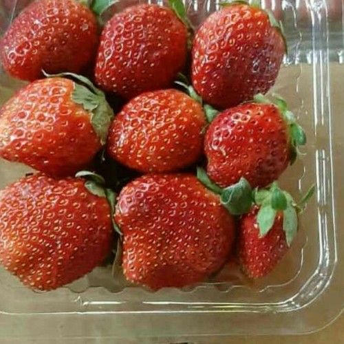 Fresh Tasty Strawberry