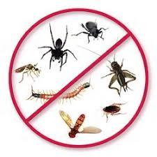 Pest Control Service for Insect Control