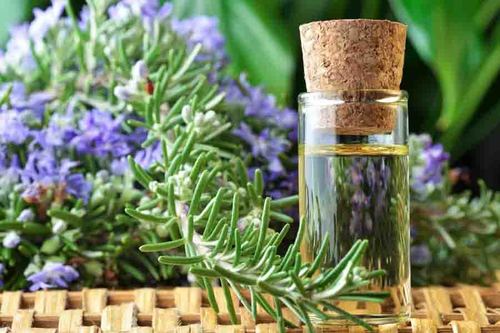 Rosemary Essential Oil Age Group: All Age Group