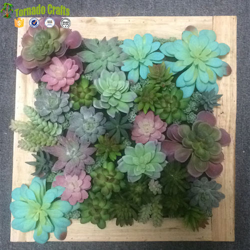 Colorful Artificial Succulent Plants 50*50Cm