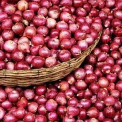A Grade Fresh Red Onions for Food