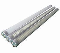 White Led Tube Light