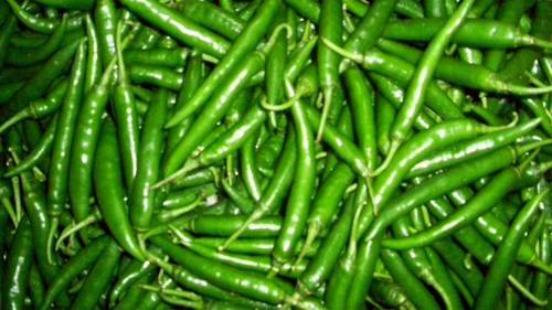Fresh Green Chillies Vegetable