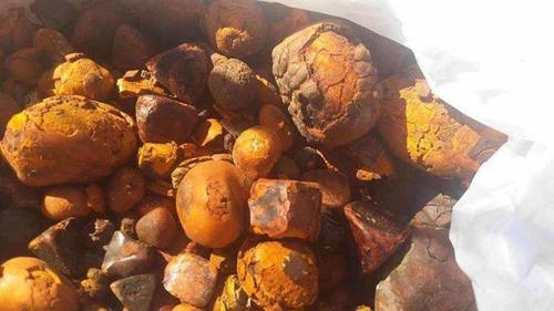 Natural Gallstones (Cow, Ox, Cattle)