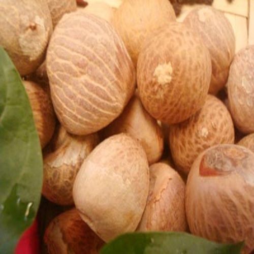 Grade A Dried Betel Nut