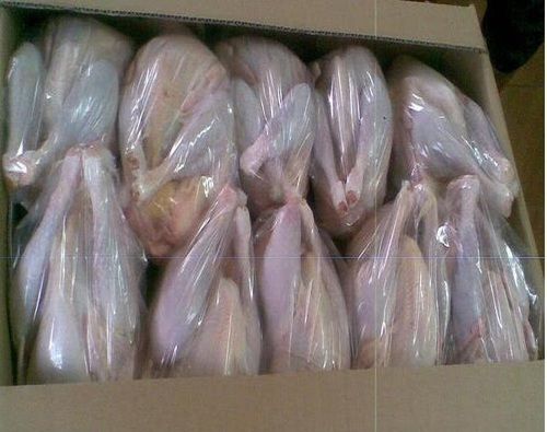 Quality Halal Frozen Whole Chicken