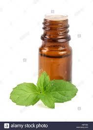 Fresh Peppermint Essential Oil