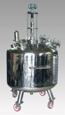 White Stainless Steel Reactor Kettles