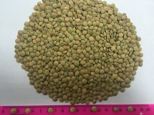 98% Pure Green Lentils