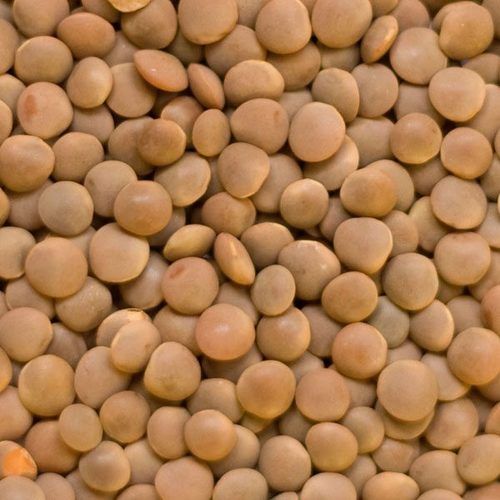 98% Pure Red Lentils