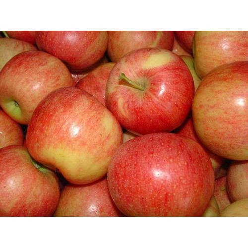Healthy Natural Red Apple