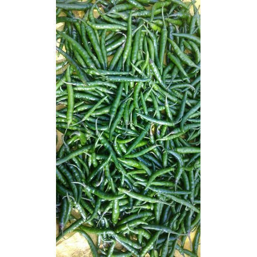 Organic Fresh Green Chilli