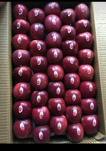 Organic Fresh Red Apple