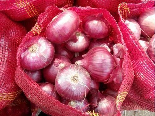Rich In Vitamin Fresh Onion