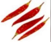 Best Price Dry Red Chilli