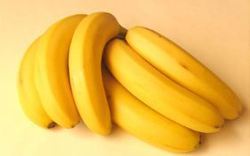 Best Price Fresh Banana
