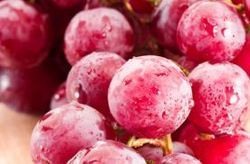 Best Price Fresh Grapes
