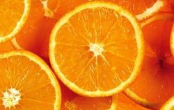 Best Quality Fresh Orange
