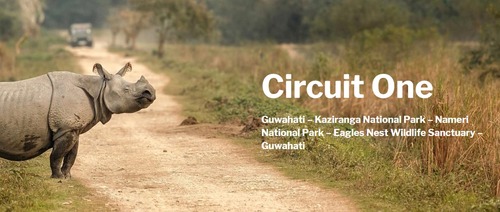 बर्ड वॉचिंग टूर्स एंड ट्रिप सर्विसेज