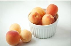 Export Quality Fresh Apricot