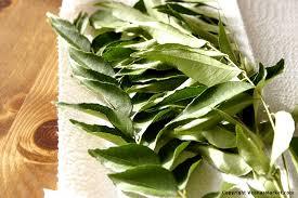 Fresh And Dried Curry Leaves