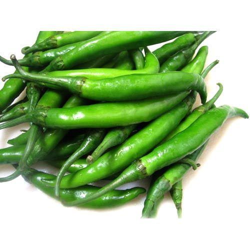 Fresh Organic Green Chilli