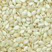 Natural White Sesame Seeds 