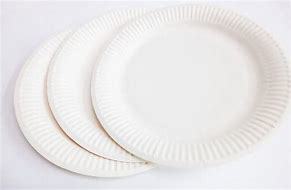 Disposable Plain Paper Plate