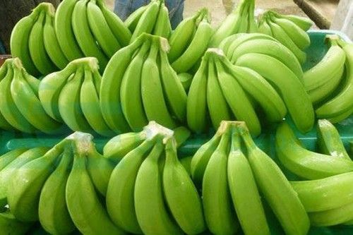 Fresh Green Cavendish Banana - Diameter 3-5cm, Length 15cm+, Class A Quality | Naturally Grown, Sweet Taste, High in Vitamins and Nutrients