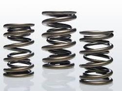 Perfect Finish Engine Valve Springs