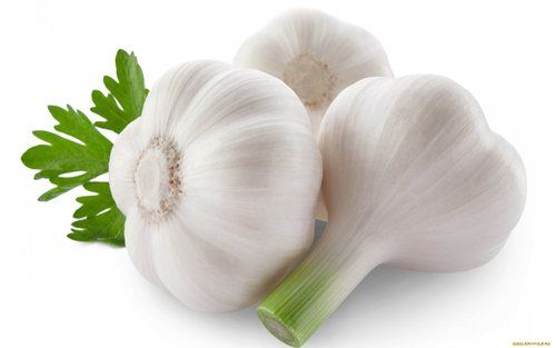Organic Medium White Garlic