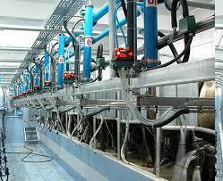 Complete Dairy Farm Automation Machine