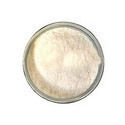 Powder Protein Hydrolysate