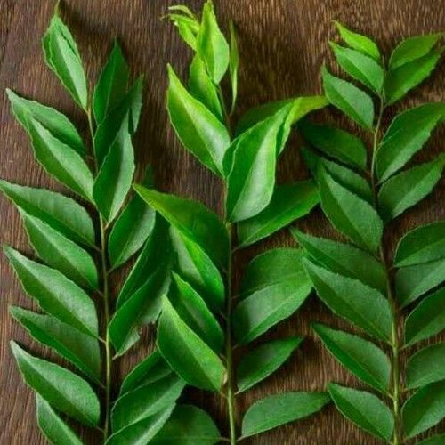 Fresh Curry Leaves