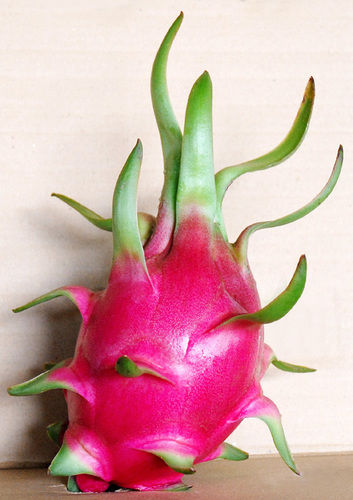 Fresh Dragon Fruit