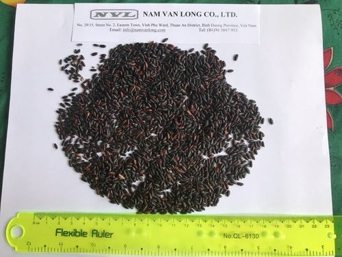 Vitamin Rich Black Rice