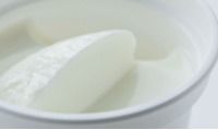 Hygienically Processed Delicious Yogurt