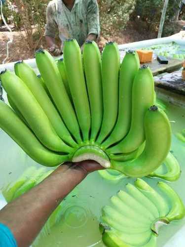 Premium Green Bananas