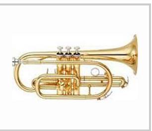 Excellent Finish Center Tone Trumpet