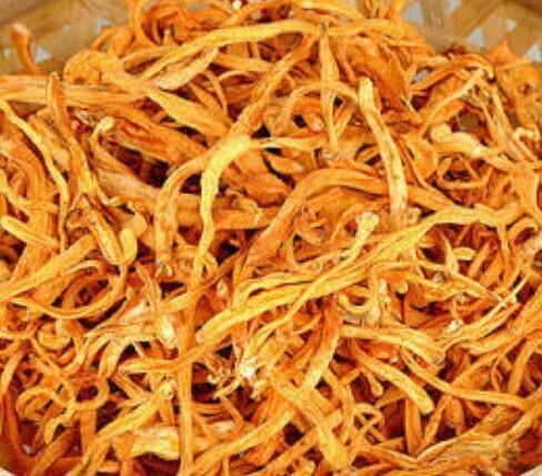 Naturally Dried Cordyceps Militaris