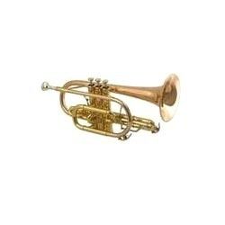 Sturdy Design Echo Cornet