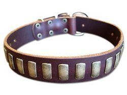 Sturdy Design Leather Dog Collar