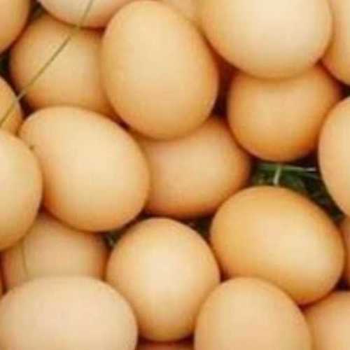 Kadaknath Chicken Eggs