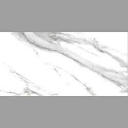 Carrara Statuario Pgvt Glossy Tile