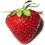 Red Natural Fresh Sweet Strawberry