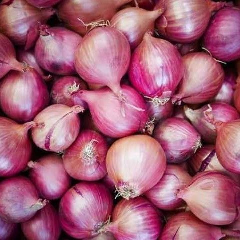 Fresh Red Onion