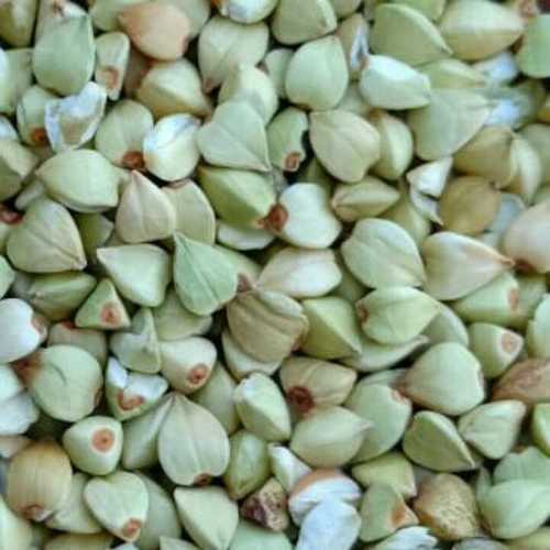 Buckwheat Kernel