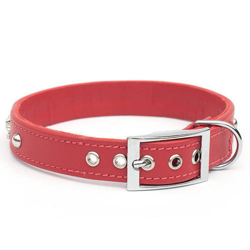 Dog Collar Belt 