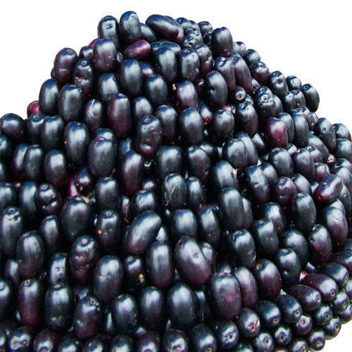 Fresh Black Jamun